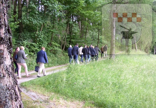 Unser Dorf hat Zukunft - Bezirkskommission begutachtet Schmißberg 32.JPG
