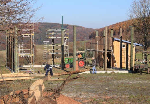Bau der Schmißberger Storchenvoliere November 2018   15.JPG