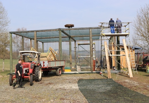 Bau der Schmißberger Storchenvoliere März 2019 161.JPG