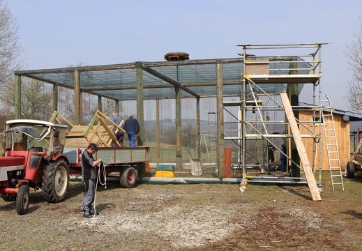 Bau der Schmißberger Storchenvoliere März 2019 178.JPG