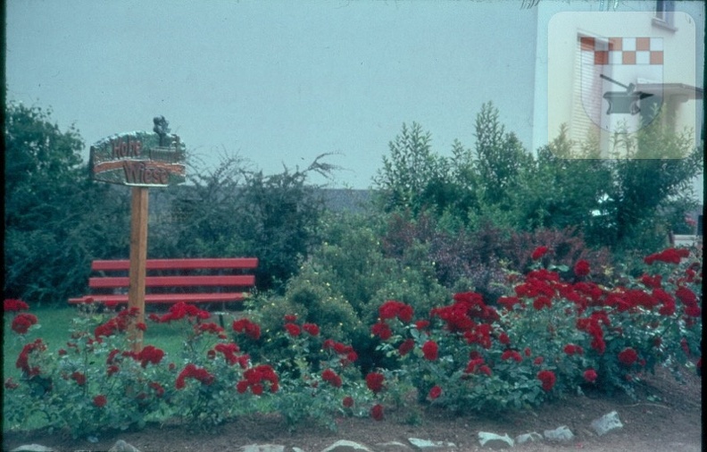Schmißberg in den 1960er 126.jpg