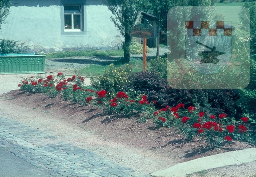 Schmißberg in den 1960er 127.jpg