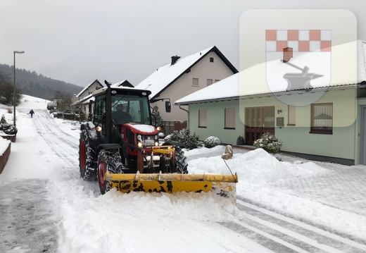 Schmißberg im Januar 2019 - Winter 3.jpg