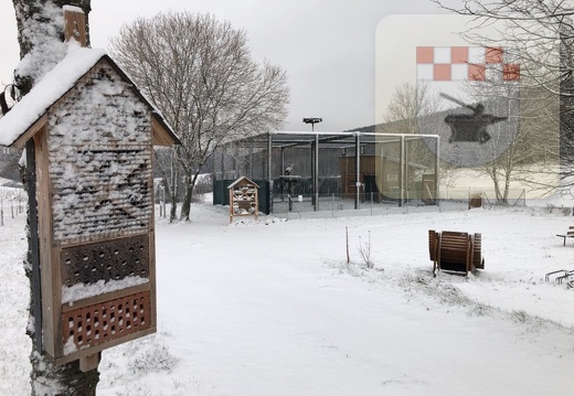 Schmißberg im Dezember 2020 - Der erste Schnee ist da 3.jpg