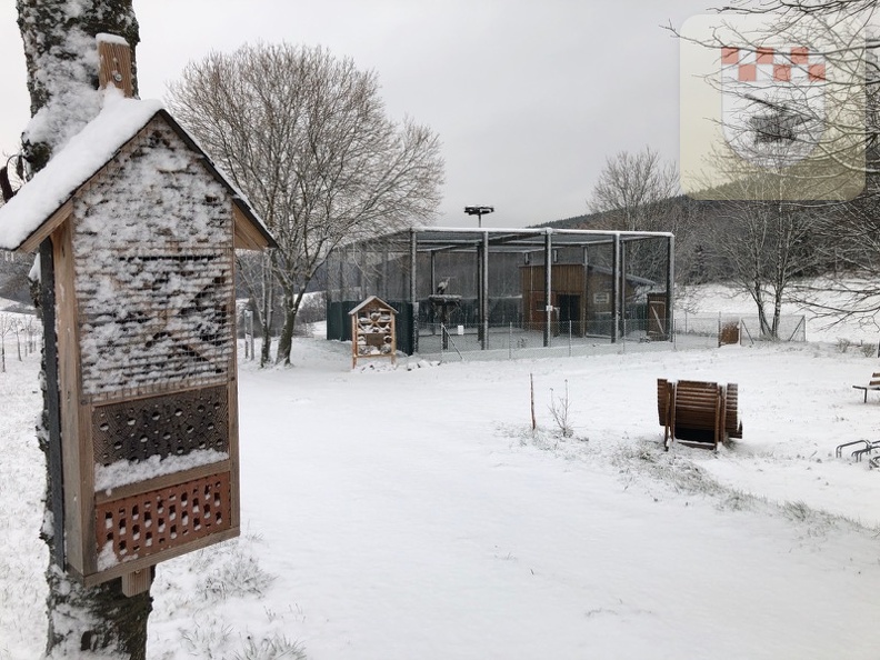 Schmißberg im Dezember 2020 - Der erste Schnee ist da 3.jpg