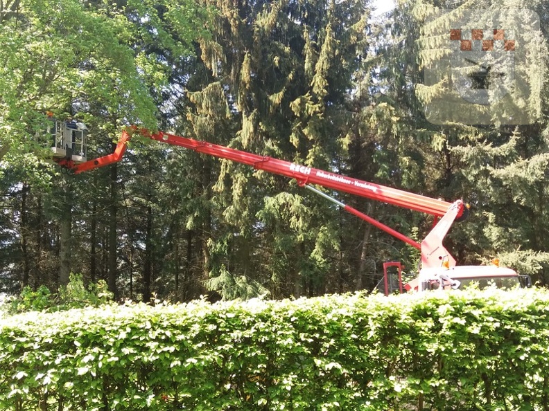 Schmißberg im Mai 2018 - Baum auf Friedhof wird gefällt 2.jpg