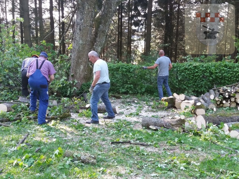 Schmißberg im Mai 2018 - Baum auf Friedhof wird gefällt 5.jpg