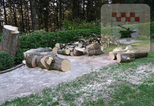 Schmißberg im Mai 2018 - Baum auf Friedhof wird gefällt 9.jpg