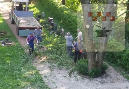 Schmißberg im Mai 2018 - Baum auf Friedhof wird gefällt 10.jpg