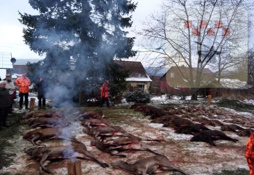 Schmißberg im Dezember 2017 - Treibjagd 2.JPG