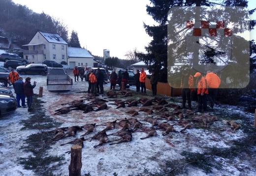 Schmißberg im Dezember 2017 - Treibjagd 5.JPG