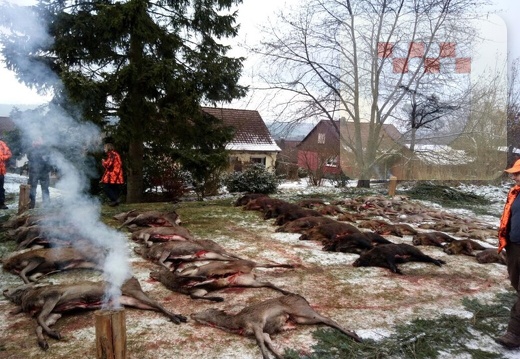 Schmißberg im Dezember 2017 - Treibjagd 3.JPG