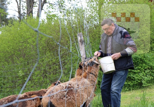 Schmißberg im Mai 2019 - Adolf Schuch 1.jpg