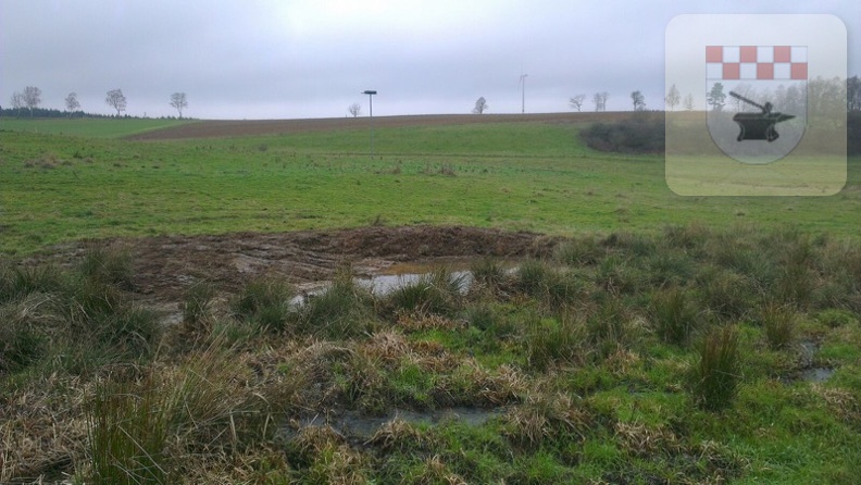 Schmißberg im November 2015 - Erste Flachwasserteiche ausgehoben 2.jpg