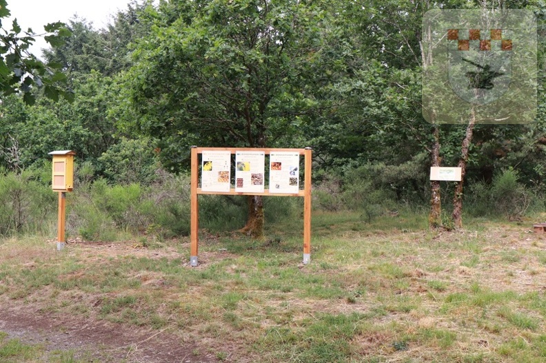 Schmißberg im Juni 2020 - Bau des Bienenlehrpfades 19.JPG