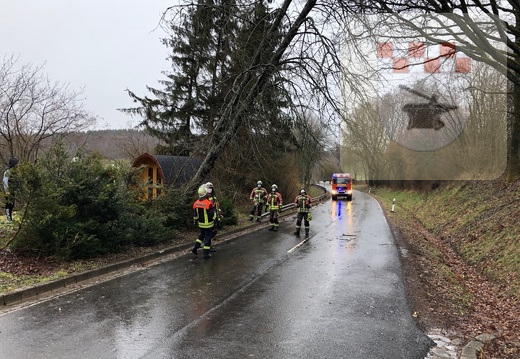 Schmißberg im März 2021 - Feuerwehreinsatz wegen umgestürztem Baum 2.JPG