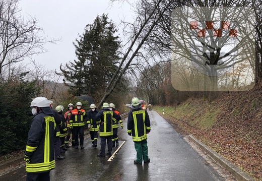 Schmißberg im März 2021 - Feuerwehreinsatz wegen umgestürztem Baum 6.JPG