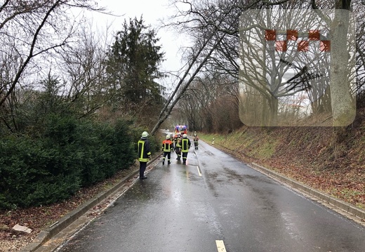 Schmißberg im März 2021 - Feuerwehreinsatz wegen umgestürztem Baum 4.JPG