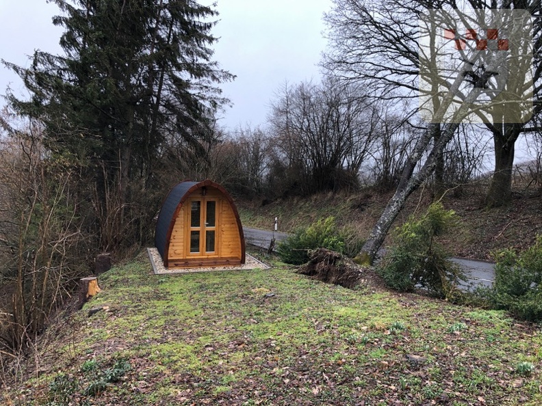 Schmißberg im März 2021 - Feuerwehreinsatz wegen umgestürztem Baum 8.JPG