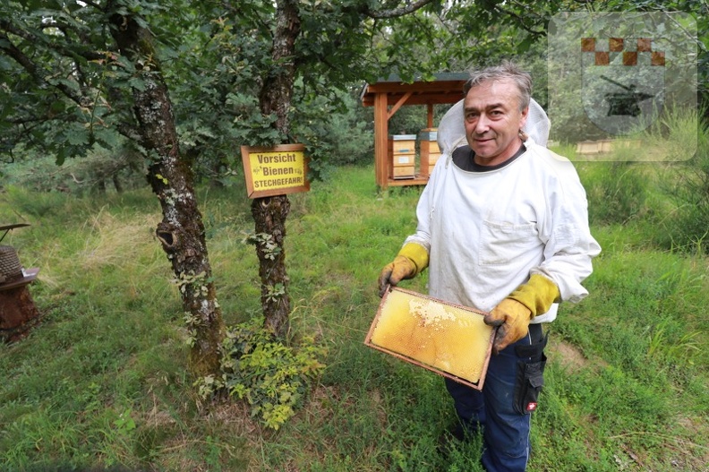 Imker erntet Honig am Bienenlehrpfad im August 2021 8.JPG