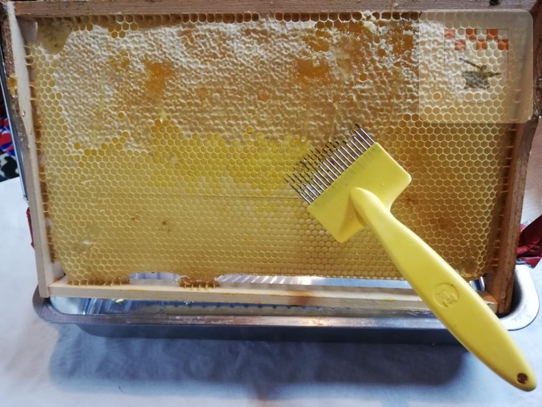 Imker erntet Honig am Bienenlehrpfad im August 2021 1.JPG