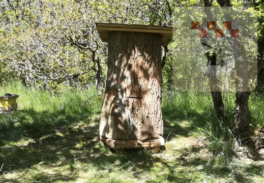 Schmißberger Bienenlehrpfad Juni 2021 - Bau einer Klotzbeute 1